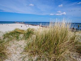 Dünenlandschaft an der Ostsee in Warnemünde von Animaflora PicsStock