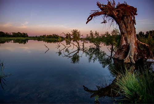 buitengebied Amerongen