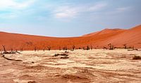 Deadvlei in the Namib Desert, Sossusvlei, Namibia by Patrick Groß thumbnail