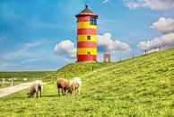 Schapen voor de vuurtoren van Pilsum aan de Noordzeekust van Duitsland. van Jan Schneckenhaus thumbnail