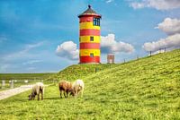 Schapen voor de vuurtoren van Pilsum aan de Noordzeekust van Duitsland.