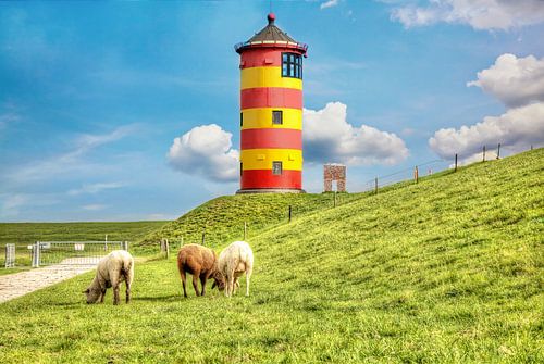 Sheep in front of Pilsum lighthouse on the North Sea coast of Germany.