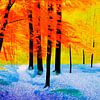 Bos in felle kleuren - foto combinatie met AI van Marianne van der Zee