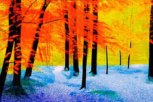 Forêt aux couleurs vives - combinaison de photos avec AI