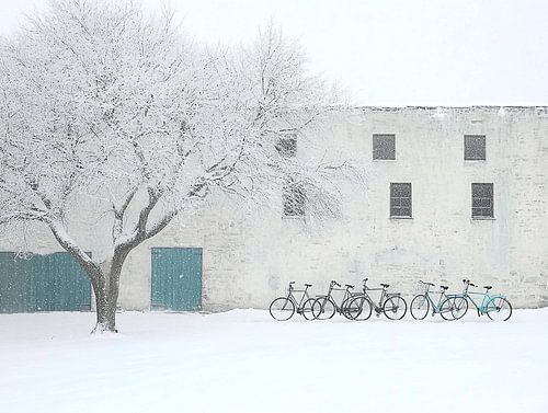 Winter scene in the Netherlands with Cycling