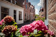 Smal straatje met Nederlandse gevelhuisjes in oud stadje van Fotografiecor .nl thumbnail