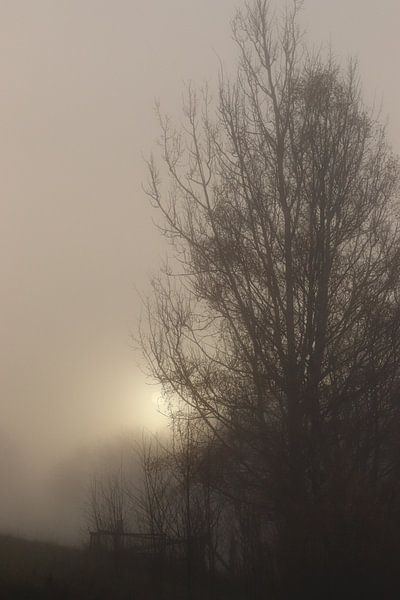 Mistige zonsopgang van Jessica Bakhuijs