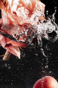 Splash - Roos van Juergen Pichler Fotografie
