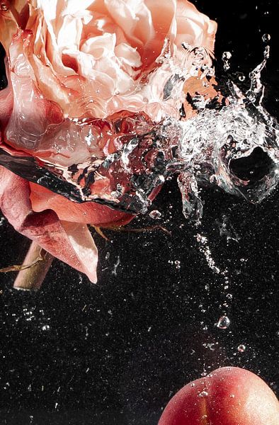 Splash - Rose by Juergen Pichler Fotografie