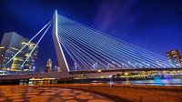 Pont Erasmus bluehour  par Roy Vermelis Aperçu