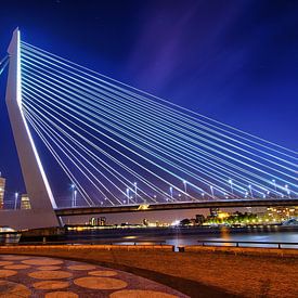 Erasmus Bridge bluehour  by Roy Vermelis