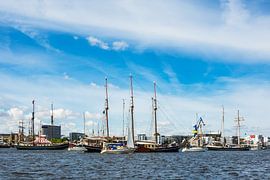 Segelschiffe auf der Hanse Sail in Rostock