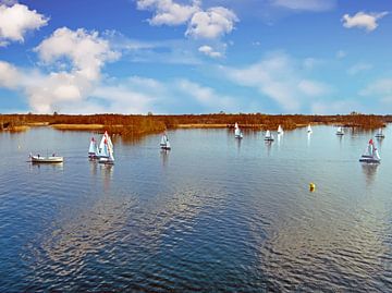 Aerial view of sailing on the Loosdrecht lakes in the Netherlands by Eye on You