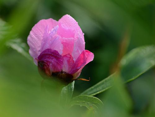 Even om het hoekje kijken.