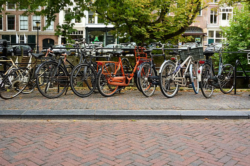 Fahrräder im Fokus
