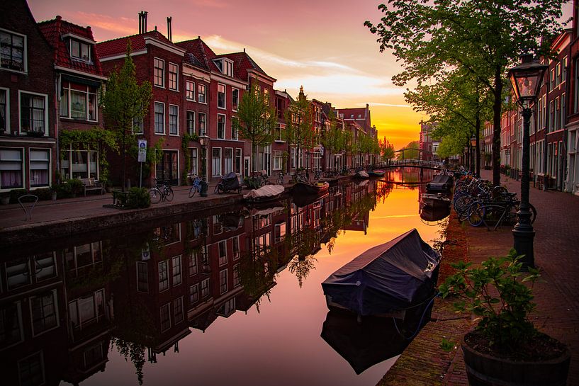 Oude Rijn, Leiden bij zonsondergang van Franck Doho