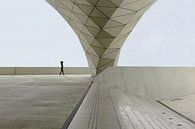 Musée des Confluences Lyon von Patrick Lohmüller Miniaturansicht