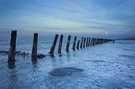 Waddenzee in winter bevroren van Peter Bolman thumbnail