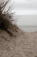 Meerblick von der Düne aus