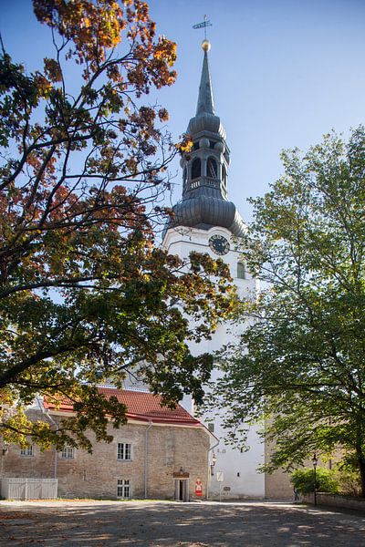 Église de la cathédrale de Tallinn, Tallinn, Estonie, Europe par Torsten Krüger