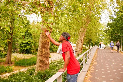 Rotterdam - D. reikt naar een boom