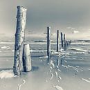 Strandhout van Kirsten Warner thumbnail