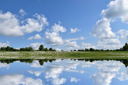 Een veld in de zomer onder een bewolkte hemel
