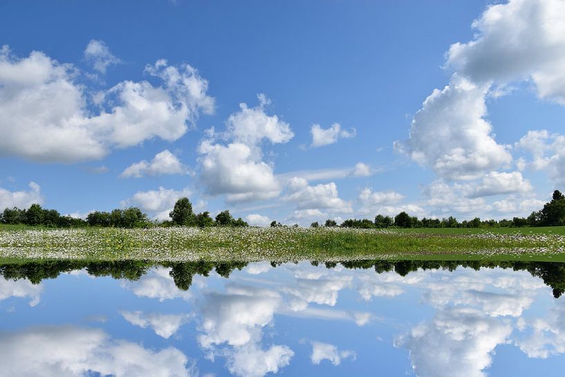 A field in summer under a cloudy sky by Claude Laprise