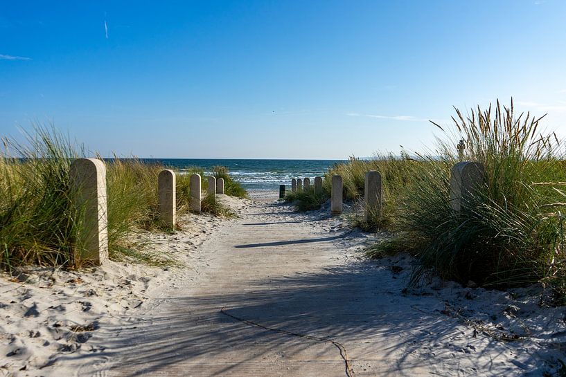 Strandweg zum Meer an der Ostsee auf Rügen von Animaflora PicsStock