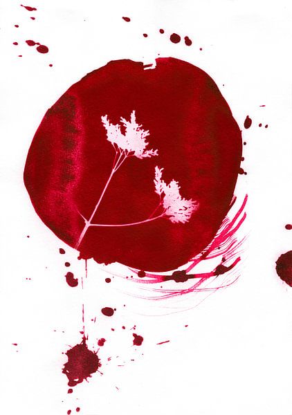 Cercle de graines rouges par Lies Praet
