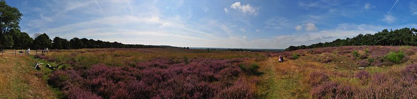 Panorama Mokerheide by Lex Schulte