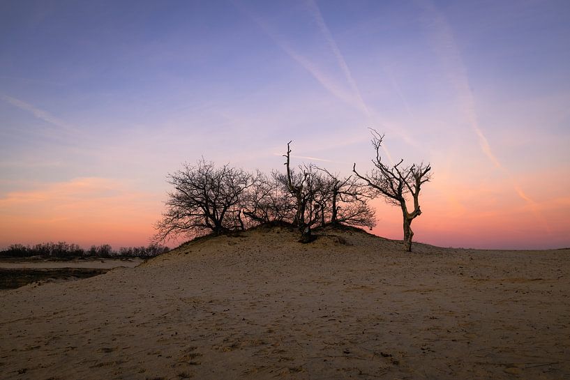 Pastel colours in the Drunense Dunes by Zwoele Plaatjes
