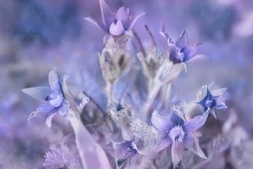 Spring in Soft Pastel Colours.... by Maja Mars