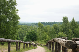 Petit sentier forestier avec une balustrade en bois à Ochten, sur l'Utrechtse Heuvelrug