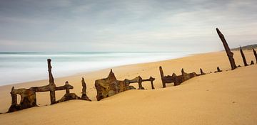 Trinculo Shipwreck by Chris van Kan
