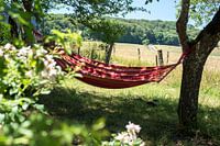 Hammock in France's campaign