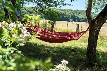 Hamac dans la campagne de France