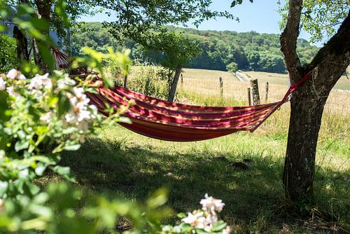 Hamac dans la campagne de France