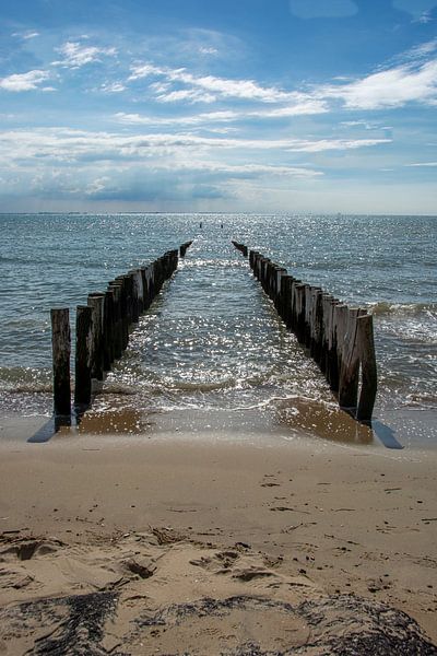 Poleheads on the coast near Zoutelande by Roland de Zeeuw fotografie