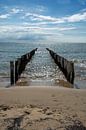 Poleheads on the coast near Zoutelande by Roland de Zeeuw fotografie thumbnail