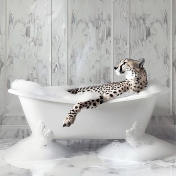 Guépard dans la baignoire - Une image de salle de bain amusante sur Felix Brönnimann