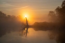 Ruhr, Hagen, Noordrijn-Westfalen, Duitsland van Alexander Ludwig