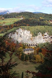 Autumn colours around Vienna by Gwendolyn Pronk