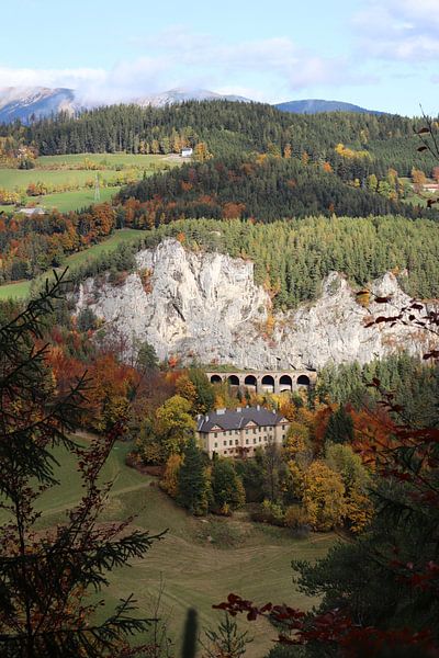 Herbstfarben in Wien von Gwendolyn Pronk