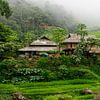 Mountain village with rice fields in Pu Luong (part 1 triptych) by Ellis Peeters