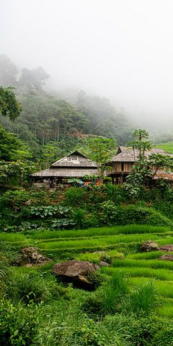 Mountain village with rice fields in Pu Luong (part 1 triptych) by Ellis Peeters