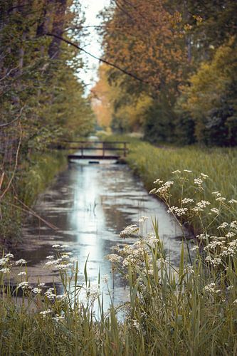 Purmerbos. sur Maaike Coers