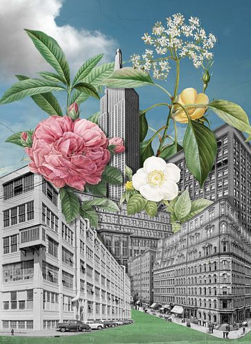 Real Pictures of Things that Never Happened