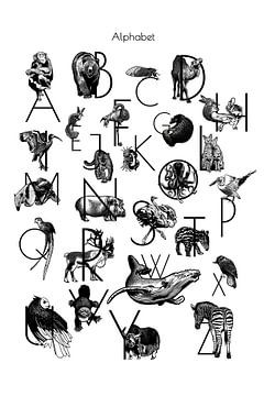 Alphabet Tiere in schwarz und weiß von Jansje Kamphuis