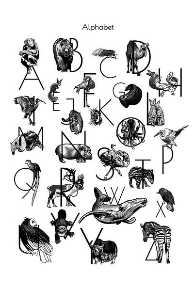 Alphabet Animaux en noir et blanc par Jansje Kamphuis